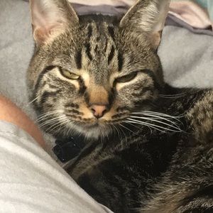 Meet your Posher, Cory